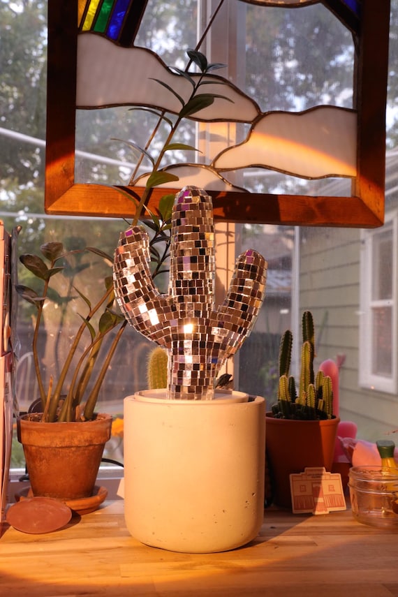 Disco Cactus Decor, Funky Handmade Western Cacti in Concrete Pot - Etsy
