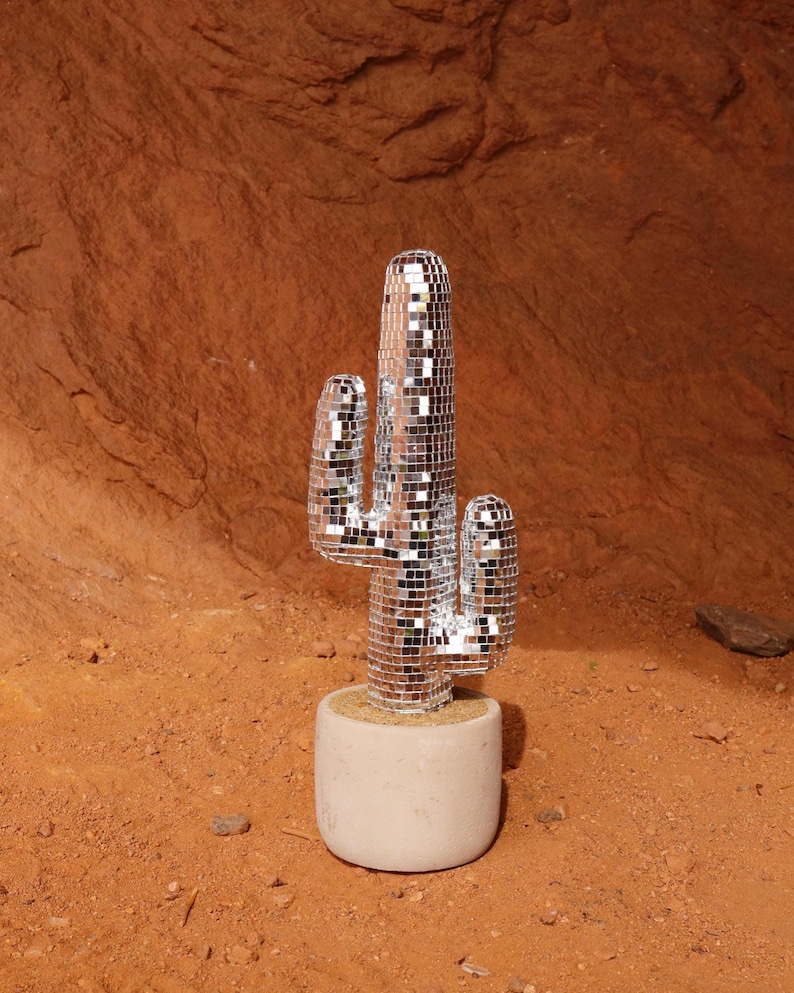 Disco Cactus / Western Disco Cacti Decor / Funky Cactus Art