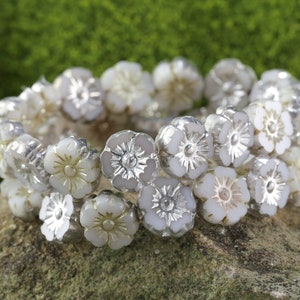 Czech Glass 9mm Hibiscus Coin - White w/ Silver & Metallic Beige Finish
