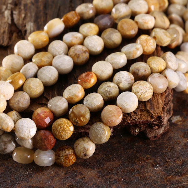 Fossil Jasper Faceted Puff Coin 6mm Beads