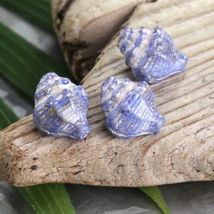 May include: Three blue and white seashells with a rough, textured surface. The shells are arranged on a piece of driftwood.