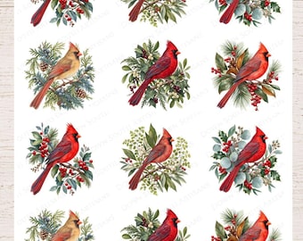 Papel de arroz Cardenal ENVÍO GRATIS, 3 tamaños, Papel de arroz, Papel de decoupage navideño Cardenal rojo, Cardenal5