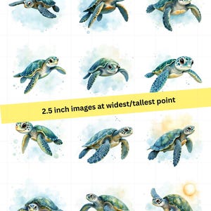 Sea Turtle Rice Paper FREE SHIPPING, 2.5 Inch Images, Coastal Rice ...