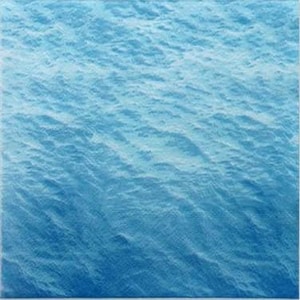 Decoupage Napkins, Watercolor Ocean Life Napkins, Set of 2 Lunch Size, #0244 Beach Coastal Craft Napkins