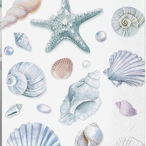 May include: White background with watercolor illustrations of various seashells, a starfish, and pearls. The shells are in shades of blue, pink, and beige. The starfish is a light blue-green color.