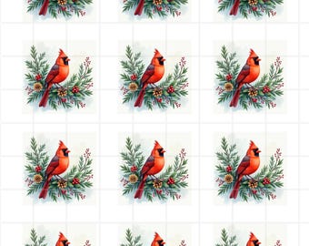 Cardinal Rice Paper FREE SHIPPING, 2 inch images, Rice Paper, Bird Red Cardinal Christmas Decoupage Paper, Cardinal3
