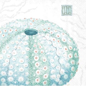 Decoupage Napkins, Sea Urchin Napkins, Set of 2 Cocktail Size, #0201 Ocean Life Beach Coastal Theme Craft Paper Napkins