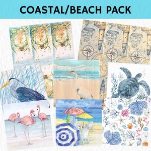 May include: A collection of decorative paper napkins labeled COASTAL/BEACH PACK featuring various illustrations including flamingos, a sea turtle, a heron, lighthouses, nautical compasses, beach umbrellas, and assorted seashells in blue, pink, and tan.