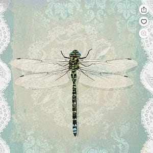 Decoupage Napkins, Dragonfly Napkins, Set of 2 Lunch Size, #190 Dragonfly on blue green Craft Paper Napkins