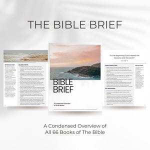 The Bible Brief - A complete overview of all 66 books of The Bible