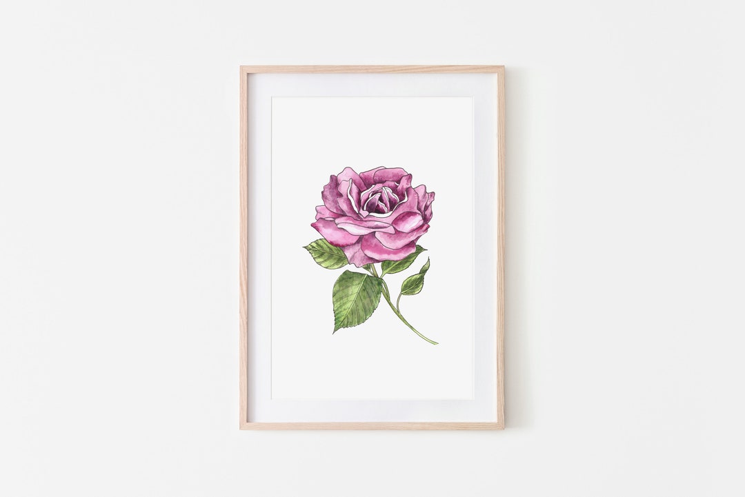Rose Pen and Ink Watercolor Digital Download - Etsy