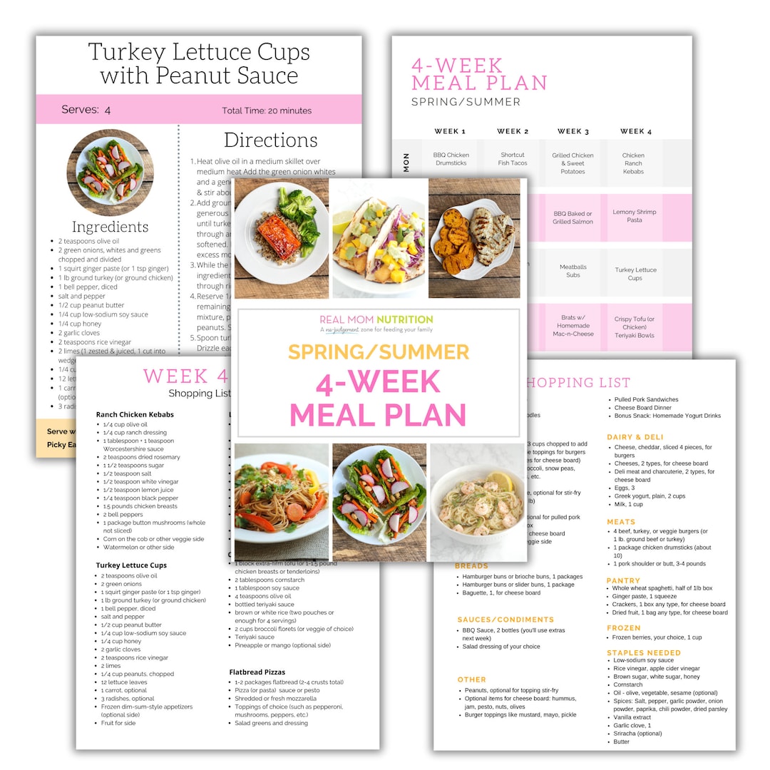 ALDI 4-week Meal Plan spring & Summer Recipes - Etsy