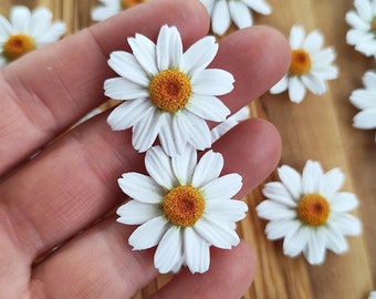 Stud daisy earrings,birth flower earrings,polymer clay earings,Gifts for her, Mothers day Gift