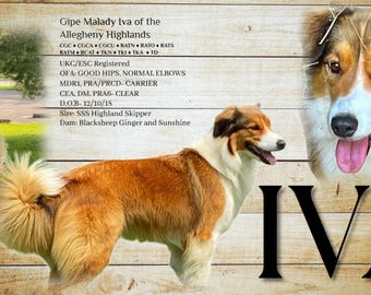 Freedom Bend Posters for Iva