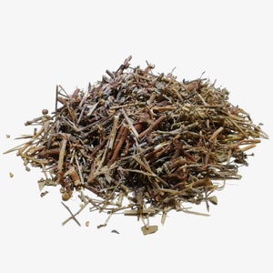 Phyllanthus Herbal Tea - Phyllanthus niruri - Chanca Piedra - Stone Breaker Brazil - Stone Breaker