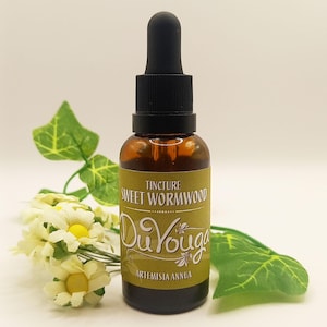Sweet Wormwood Tincture (1:5) - Artemisia Annua - Sweet Annie - Sweet Sagewort - Armoise Annuelle - Absinthe Chinoise - Einjährige Beifuß