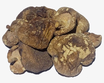 Naturally Dried Whole Shiitake Mushrooms - Lentinula edodes - Culinary - Dietary Supplement - Shitake