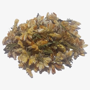 Fleur de Carqueja - Fleurs de Pterospartum tridentatum 20g. - Carquesa - Carquesia - Carqueixa - Genêt épineux