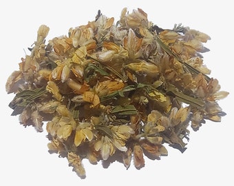 Flor de Carqueja - Pterospartum tridentatum Flowers 20g. - Carquesa - Carquesia - Carqueixa - Prickled Broom