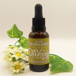 Tintura di fiori di loto blu egiziano (1:10) • Nymphaea caerulea • Ninfea blu • Sogni lucidi • Rilassamento • Sciamanico • Erboristeria • Sacro