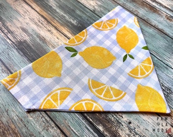 Bandana per cani al limone: colletto estivo a quadretti blu slip-on