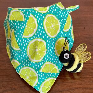 Summer Limes Reversible Tie On Dog Bandana:  Limes with Polka Dots, Gift for Dog Moms, Welcome Puppy Gift!