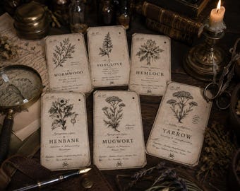 May include: Six rectangular paper tags with aged, off-white surfaces, each featuring a black botanical illustration and the plant name: Wormwood, Foxglove, Hemlock, Henbane, Mugwort, and Yarrow. Each tag includes small skull icons and text.