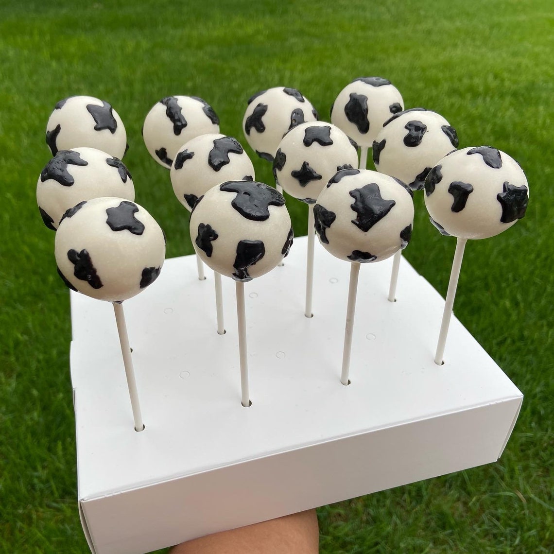 Cow Print Cake Pops Etsy