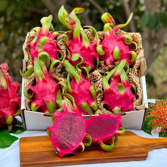 Fresh Red Dragon Fruit