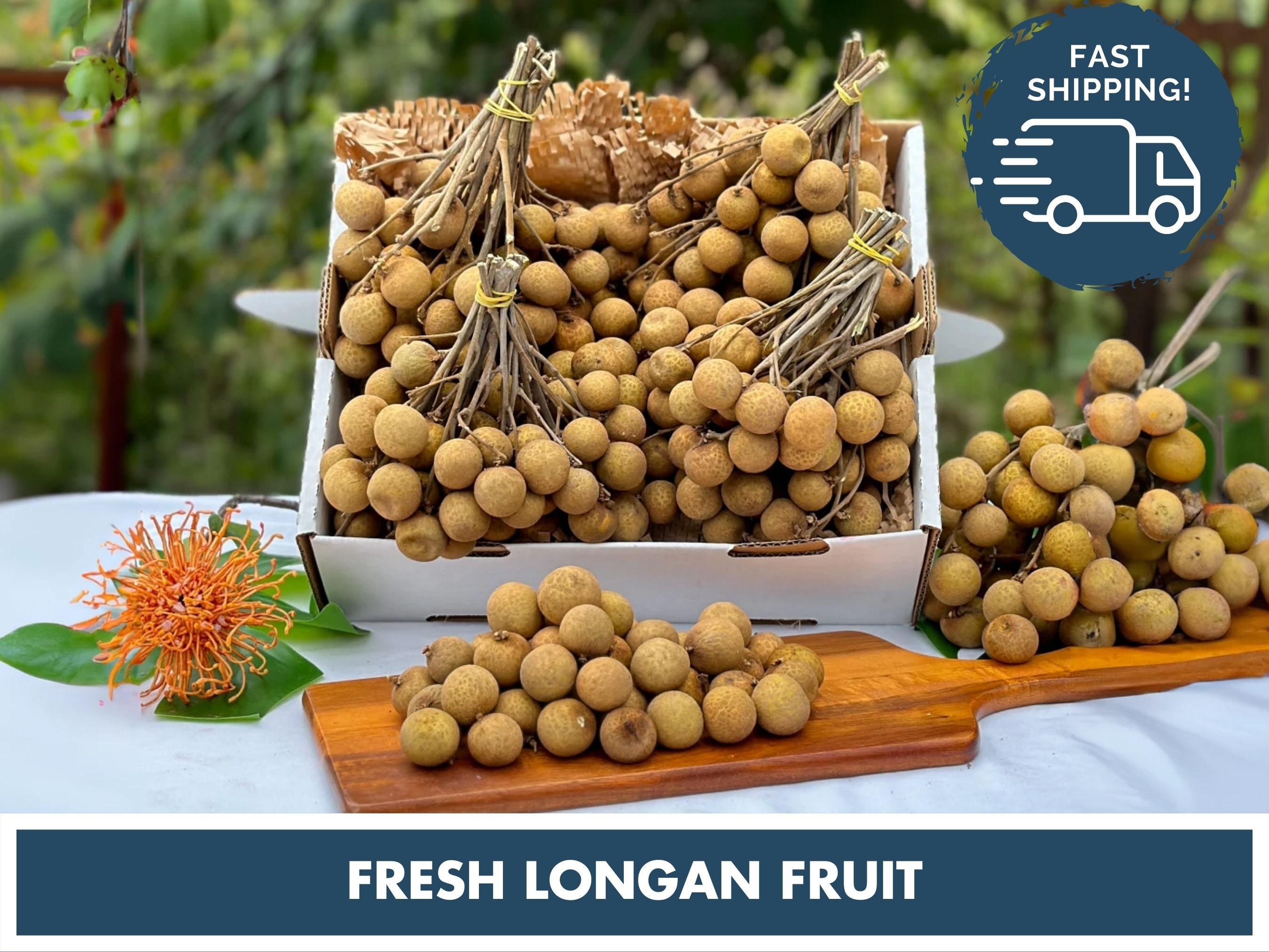 Fresh Longan Fruit