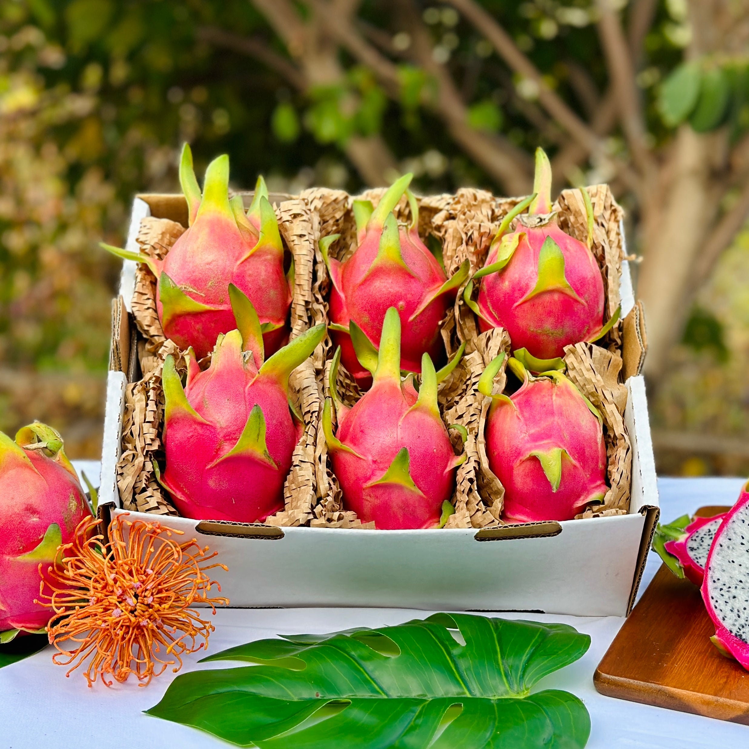 Exotic Mixed Dragonfruit / Pitaya Box *Nationwide Shipping* – The Farmers  On Wheels