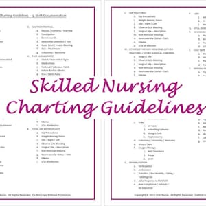 Skilled Nursing Charting Guidelines