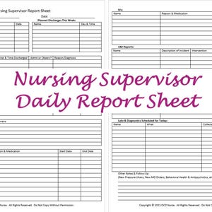 Nursing Supervisor Daily Report Sheet (LTC / Rehab)