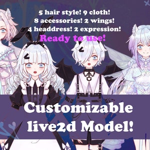 Customizable Live2d Model - Vtuber Avatar - Anime Girl- Fully Rigged-Ready To Use