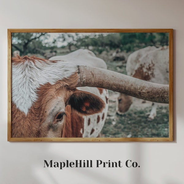 Longhorn Picture, Longhorn Print, Cattle Photography, Farm Printable, Texas Art, Cow Print, Longhorn Photo, Longhorn PNG, Rustic Wall Decor