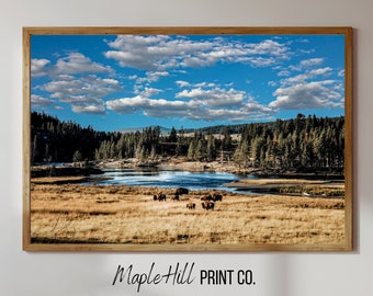 Buffalo Wall Art, Farmhouse Wall Art, Cabin Wall Decor, Printable Wall Art, Yellowstone Print, Nature Art, Mountain Wall Art