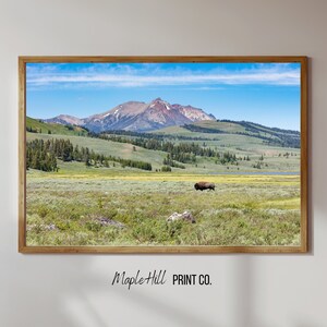 Buffalo Wall Art, Farmhouse Wall Decor, Western Wall Art, Digital Download, Yellowstone Wall Decor