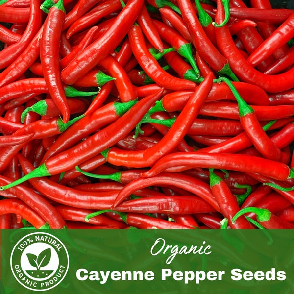 Premium Organic Cayenne Pepper Seeds 20pack