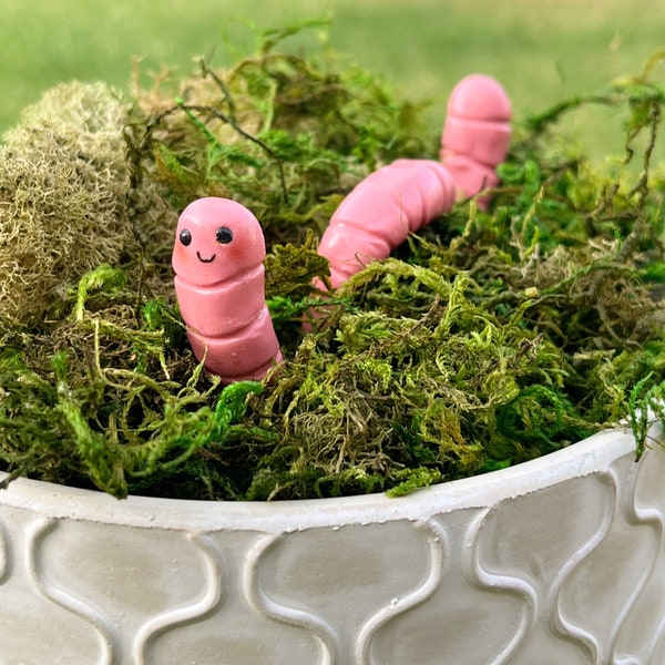 Wally the Worm Plant Pot Accessory | Buddy | Pal | Plant decoration | Friend | Garden | Urban Jungle | Cute | Kawaii | Gift | -Polymer Clay