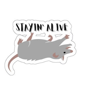 Sticker opossum | Animal amusant vivant qui reste en vie