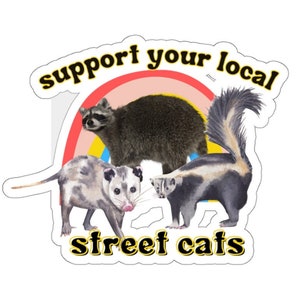 Support your local street cats sticker | Raccoon, Opossums, Skunks Funny Sticker