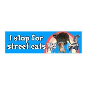 I Stop for Street Cats Bumper Sticker | Raccoon, Opossums, Skunks, Squirrels Bumper Sticker | Funny Bumper Sticker