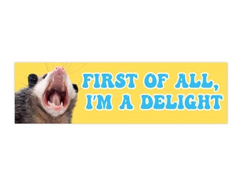 Opossum Autoaufkleber - niedlicher Tier-Autoaufkleber für Opossum-Liebhaber, vergnügtes Autozubehör, wunderlicher Stoßstangenaufkleber, entzückendes Haustier
