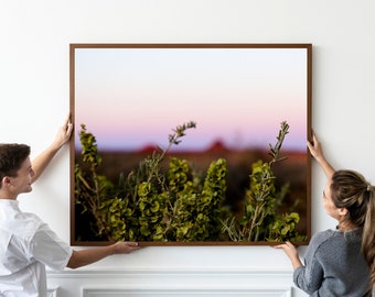 Physical Print | New Mexico Rosemary | Fine Art Photography | Rustic, Western, Mid-Century Photo | Wall Art