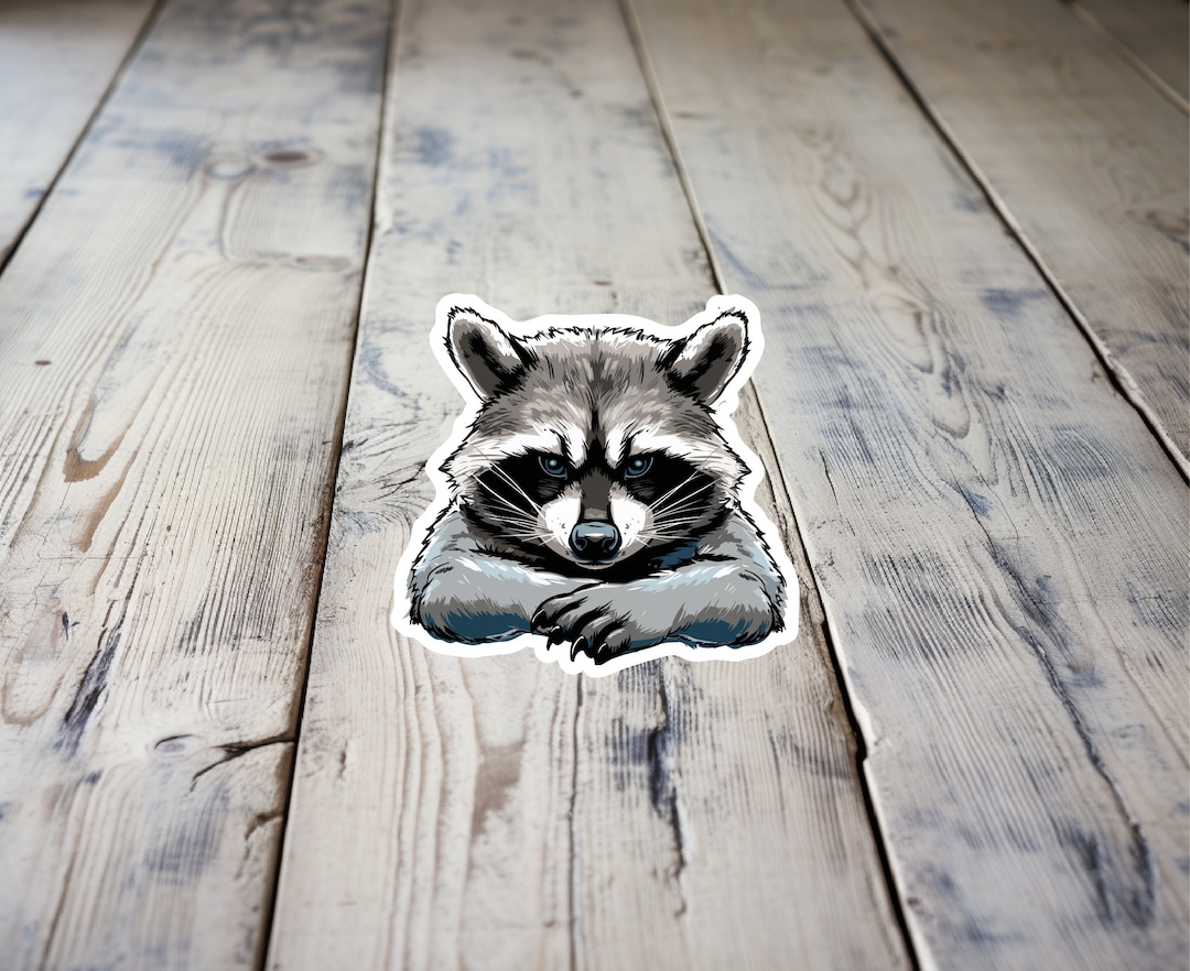Raccoon Sticker | Memes | Funny | Laptop Sticker | Gifts - Etsy
