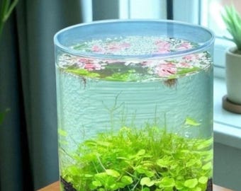 Bioloark Bio Bottle ZD200 - Etsy