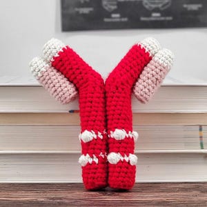 May include: A Y-shaped antibody model crocheted with red yarn, featuring white yarn accents at the tips and along the vertical stems. The structure consists of two main arms joined at the base, with smaller side branches extending outward in a symmetrical Y-shape.