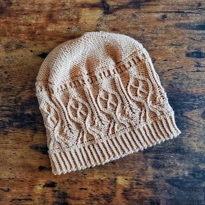 Viral Hat Knitting Pattern, chapeau sur le thème de la science, chapeau sur le thème de la biologie, motif de bonnet en tricot torsadé, motif de bonnet en tricot torsadé, motif de chapeau ringard