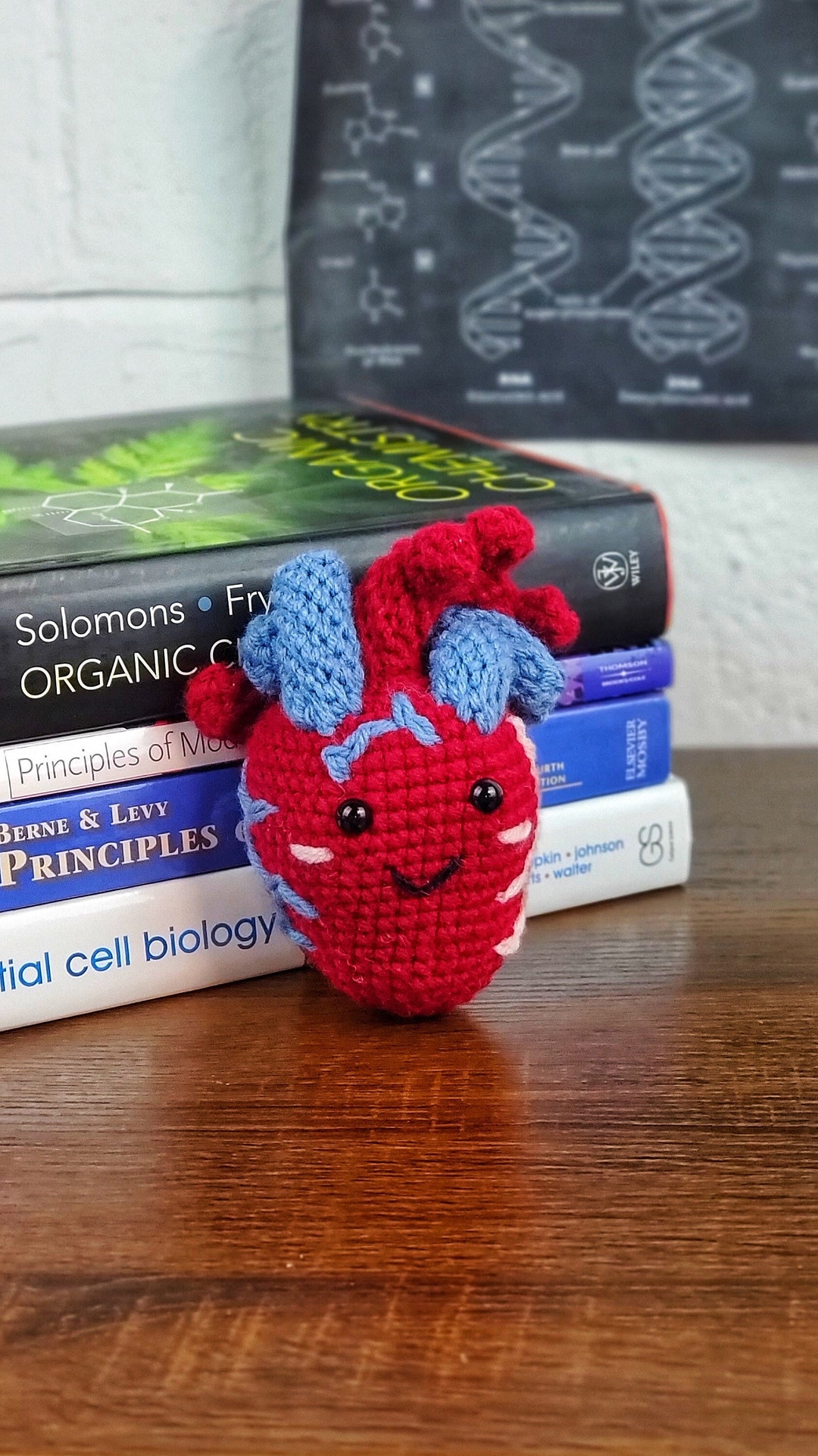 Biology Gift Heart Plushie Anatomical Educational Toy Science Gift for