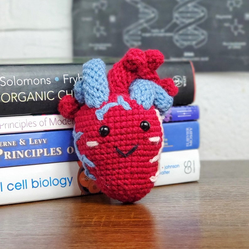 Biology Gift Heart Plushie Anatomical Educational Toy Science Gift for